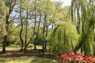 a park with trees and red flowers in the grass at Gîtes Terra di a Bravona in Linguizzetta