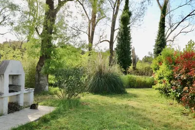a cat laying on the grass in a garden at Gîtes Terra di a Bravona in Linguizzetta