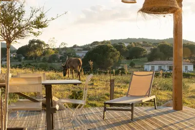 a table and chairs and a cow in a field at Villa calme avec piscine chauffée - 6 personnes - Figari proche Porto-Vecchio et Bonifacio in Figari