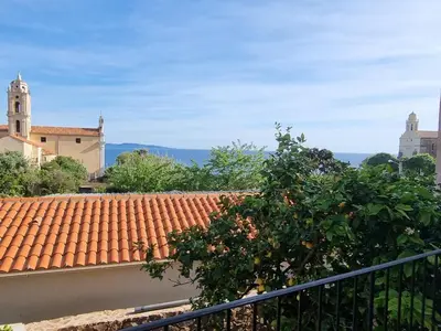 a view of a roof with an orange tree at Appartement avec terrasse au centre du village in Cargèse