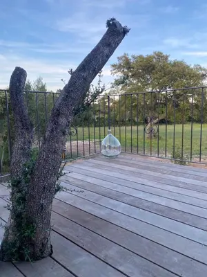 a large tree trunk on a wooden deck at Villa de charme avec piscine in Sotta