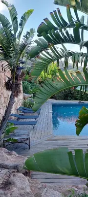 a pool with chairs and a palm tree next to it at La baie des anges in Porto-Vecchio