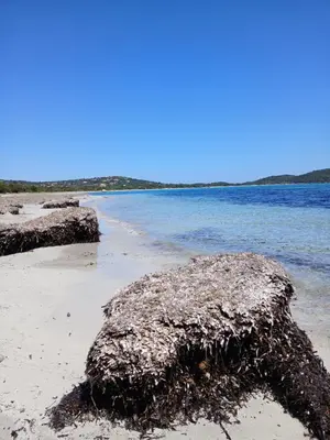 a rock in the sand on a beach at La baie des anges in Porto-Vecchio