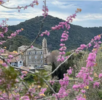 a bunch of pink flowers in front of a building at Duplex au Village in Tox