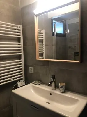 a bathroom with a sink and a mirror at Duplex au Village in Tox