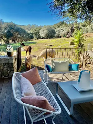 a patio with chairs and a table and some animals at Les Bergeries de Figari in Figari