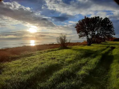 a tree in a field with the sun in the sky at Villa, maison bord de mer climatisée in Poggio-Mezzana