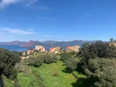 a group of houses on a hill next to a body of water at Appartement de standing piana in Piana