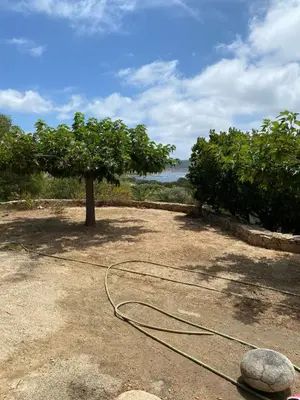 a hose laying on the ground next to a tree at GRANDE VILLA TIZZANO A 200 M DE LA PLAGE 18 PERS in Sartène