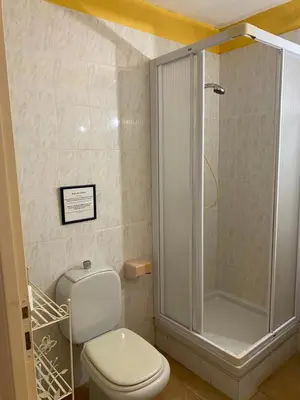 a bathroom with a white toilet and a shower at GRANDE VILLA TIZZANO A 200 M DE LA PLAGE 18 PERS in Sartène