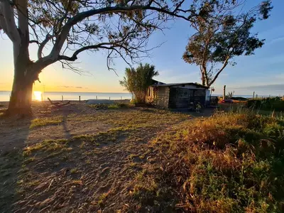 a house on the beach with a tree at Caravane janis on the beach in Lucciana