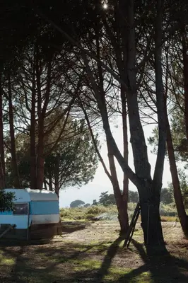 a white caravan parked next to a group of trees at Caravane janis on the beach in Lucciana