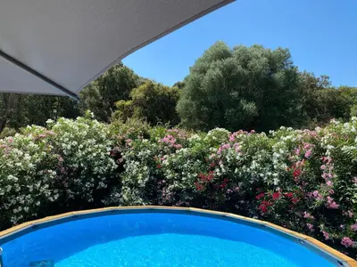 a swimming pool in a garden with flowers at Villa Dominique Porto-Vecchio proche des plages in Porto-Vecchio
