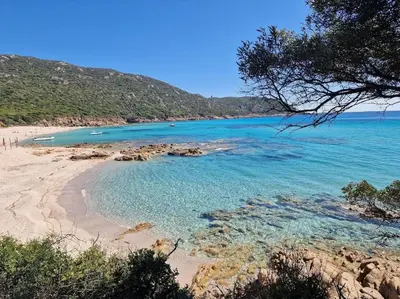 a beach with blue water and rocks and trees at Mini Villa 69 - Piscine chauffée in Serra-di-Ferro