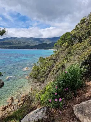 a view of a body of water with pink flowers at Mini Villa 69 - Piscine chauffée in Serra-di-Ferro