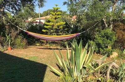 a hammock hanging in a garden with a tree at NEW Villa with JACUZZI, near St Cyprien beach in Lecci