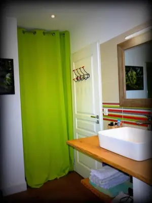 a bathroom with a green shower curtain and a sink at NEW Villa with JACUZZI, near St Cyprien beach in Lecci