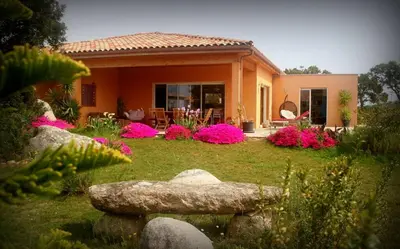 a house with pink flowers in the yard at NEW Villa with JACUZZI, near St Cyprien beach in Lecci
