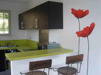 a kitchen with a counter with two red flowers at Maison golfe d'Ajaccio: vue mer in Pietrosella