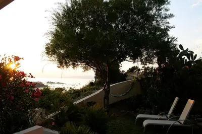 a garden with a tree and a hammock under a tree at Maison golfe d'Ajaccio: vue mer in Pietrosella