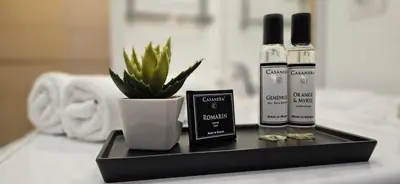 a black tray with two bottles of essential oils and a plant at T2 de Standing Coté Plage, les pieds dans l'eau in Propriano