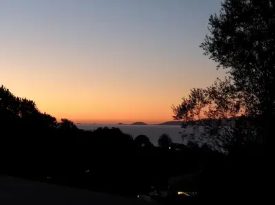 a sunset over the ocean with a tree at Maison villa 3 chambres plage Agosta proche Porticcio in Pietrosella