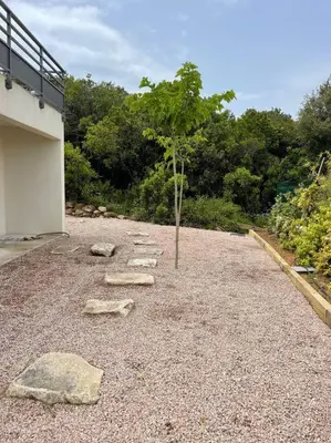 a tree sitting in the middle of a gravel yard at Villa luxe avec piscine et belle vue mer in Pietrosella