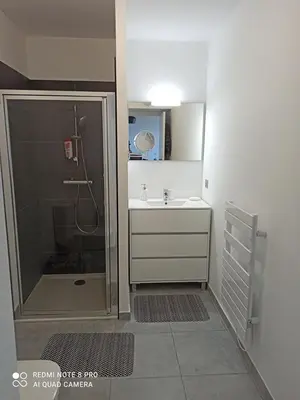 a bathroom with a shower and a sink at La Civita Piétrosella in Pietrosella