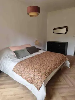 a bedroom with a large bed and a mirror at Appartement au cœur de la ville in Corte