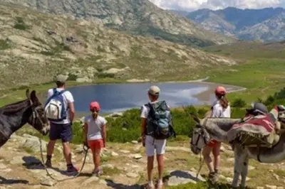 a group of people standing on a mountain with a horse at Beau logement neuf à 5 mn de la mer in Ventiseri