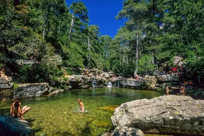 a group of people swimming in a pond in a forest at Beau logement neuf à 5 mn de la mer in Ventiseri