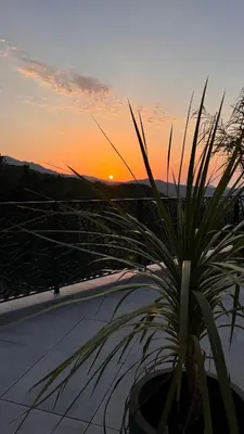 a plant on a roof with the sunset in the background at A CASA DI GHJULIA PISCINE CHAUFFEE PROCHE St FLORENT in Vallecalle