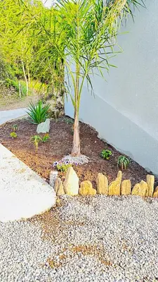 a tree in a garden with rocks around it at A CASA DI GHJULIA PISCINE CHAUFFEE PROCHE St FLORENT in Vallecalle