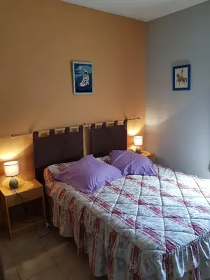a bedroom with a large bed with purple pillows at Chambre d'Hôte 