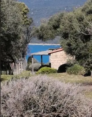 a building in the middle of a field with trees at MAISON ALBA ROSSA 55 in Serra-di-Ferro