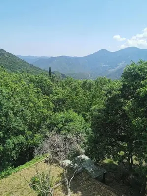 a bench sitting on top of a hill with trees at Appartement 2 ou 4 personnes. Venaco in Venaco