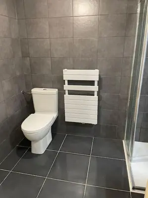 a bathroom with a toilet and a shower at Parking gratuit grande terrasse Proche Centre Ville in Ajaccio