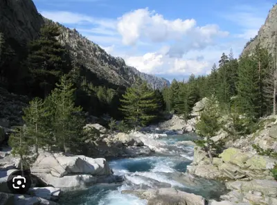 a river in the middle of a mountain with trees at Résidence Arborea C3 Corte in Corte