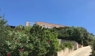 a fence covered in plants and flowers on a road at Maison Maquis - la vue, le silence, la mer in Tizzano