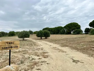 a dirt road in the middle of a field with trees at Casa Lamaghjone - Villa T4 avec piscine chauffée à 3,5km de la mer in Aléria