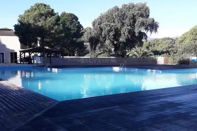 a pool of blue water with trees in the background at Très joli appartement T3 fraîchement rénové, dans résidence hôtellière in Lecci