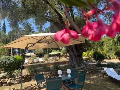 a table and chairs under an umbrella under a tree at L’oléado in Oletta