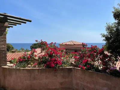 a retaining wall with pink flowers in front of a house at Galate in Porto-Vecchio