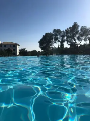 a pool of blue water with trees in the background at Domaine d'Arca Eluard 02- PORTO-VECCHIO - Rez de jardin - 2 à 4 pers in Porto-Vecchio