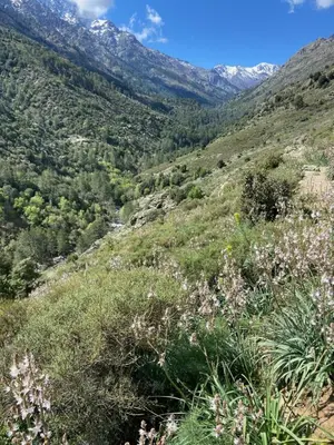 a view of a valley with mountains in the background at U PASTURELLU in Pioggiola