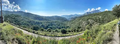 a winding road in the mountains with flowers at U PASTURELLU in Pioggiola