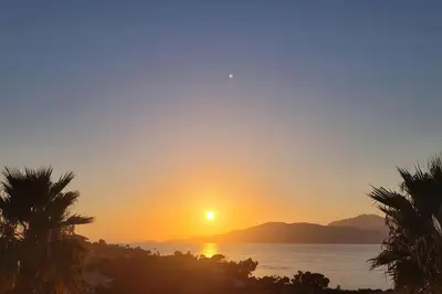 a sunset over the water with palm trees at Appartement terrasse et vue mer in Grosseto-Prugna