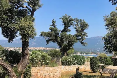 two trees and a stone wall with mountains in the background at Villa de standing et vue mer Porto Vecchio in Porto-Vecchio