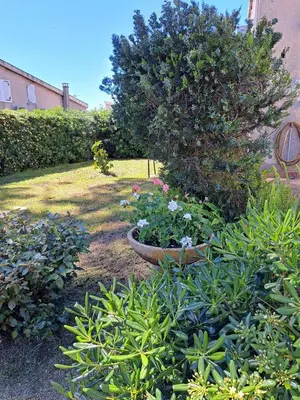 a garden with a tree and flowers in a yard at Mini villa jardin 50 m plage in Borgo