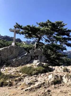 a cross on top of a hill with a tree at Appartement les pieds dans l'eau in Solaro